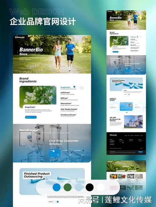 2025年初總結 國內十大頂級網站建設公司最新排行